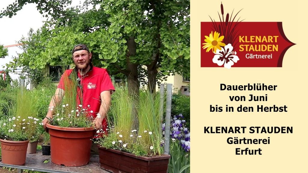 Gartentipps Juni 2025