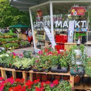 BUGA Erfurt 2021 - unser Gärtnermarkt